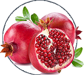 Alpeja Cosmetics Natural Cosmetic Slovenia