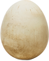 Alpeja Cosmetics Natural Cosmetic Slovenia