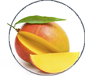 Alpeja Cosmetics Natural Cosmetic Slovenia