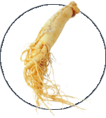 Alpeja Cosmetics Natural Cosmetic Slovenia